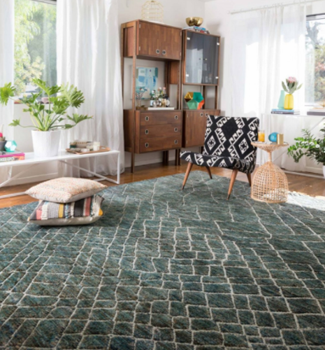 Loloi Sahara transitional area rug